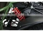 popular 150cc/250cc buggy