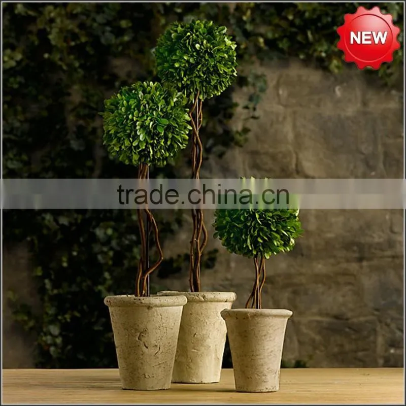 Decorative potted boxwood ball topiary