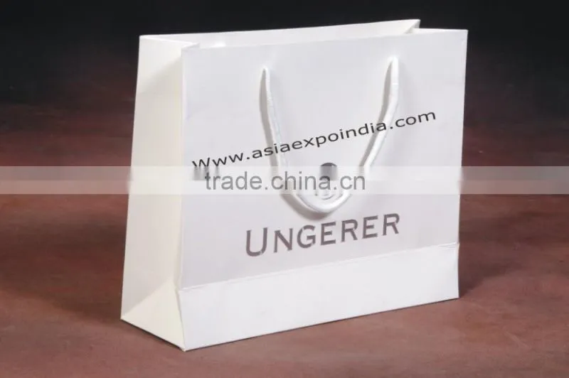 Paper Promotion Shopping Bags with Glossy / Matte Finish