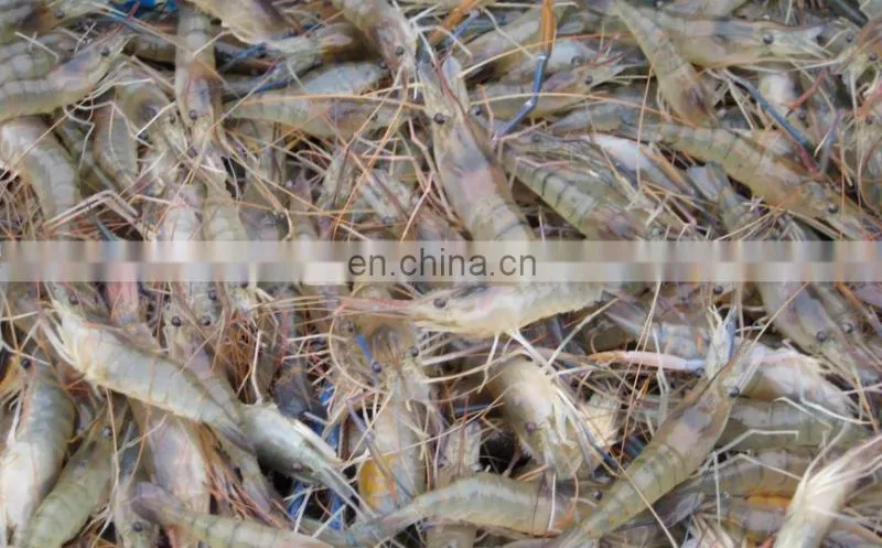 Competitive price Paddlewheel aerators are widely used in fish shrimp farmers