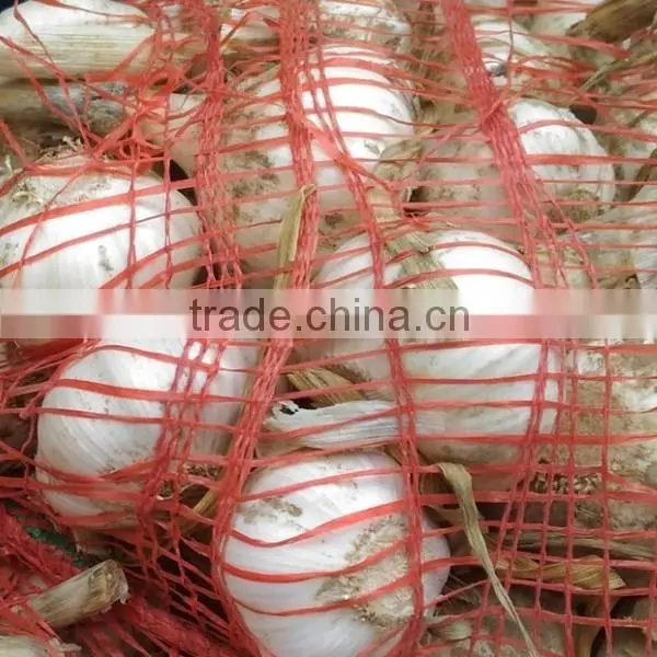 2016 new garlic fresh garlic Jinxiang garlic for export