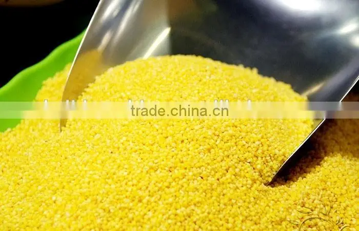 commercial couscous machine