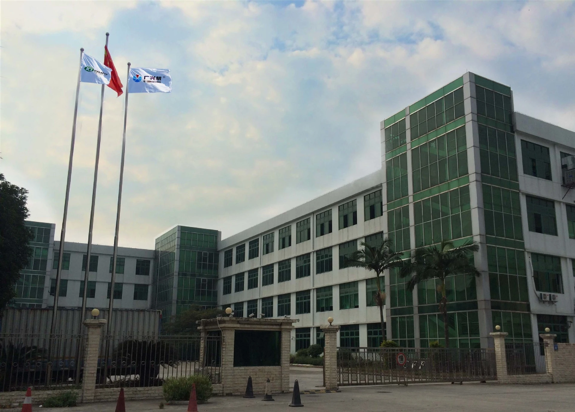 Welllink (guangdong) New Material Co., Ltd. company overview - view 1