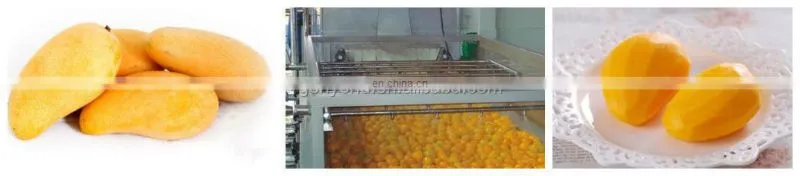 Shanghai Genyond mango processing machine for dry chips