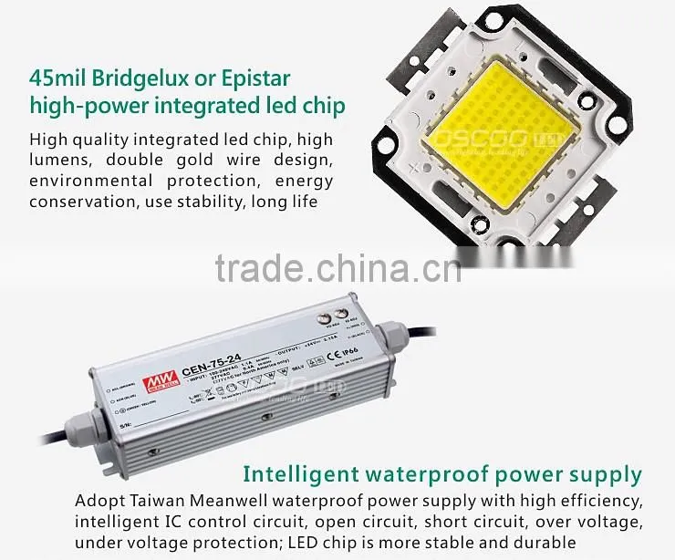 Driverless ip65 dimmable cob 50w led flood lights project