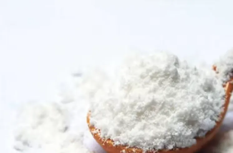 Full-Scale Milk Powder Processing Lines Production Line