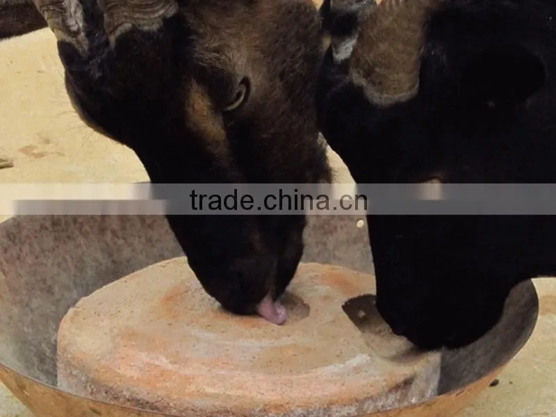 hot selling licking salt block machine