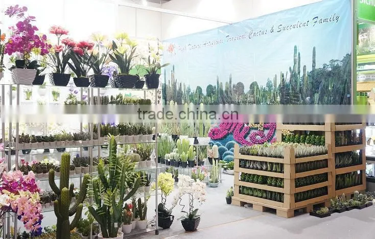 Indoor Plastic Pyrolysis Plant