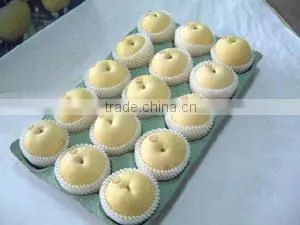 Chinese Emerald pear