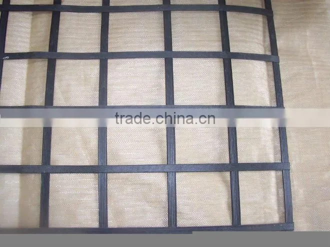 steel plastic geogrid(TGSG4040-120120)