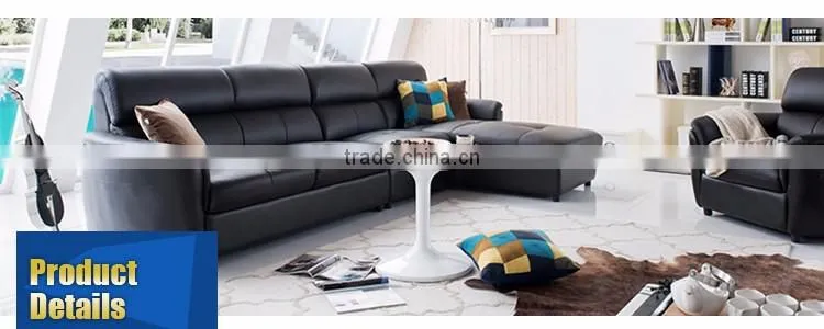Leisure Sofa Home Furniture Black Designer Sofa