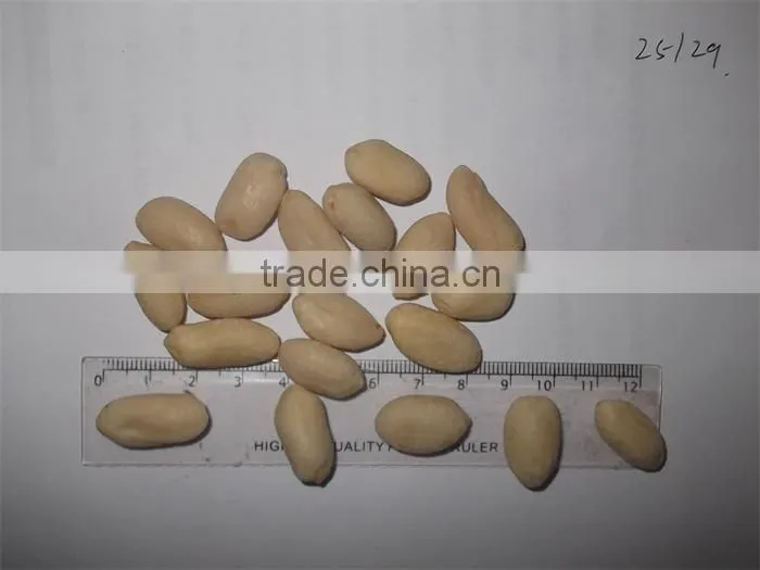High quality blanched peanuts in the carton from china