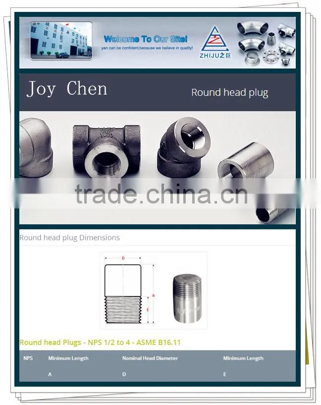 1/8 " Threaded NPT Round Head Plug Square To Round Pipe Fitting