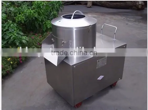 Brush type potato washer