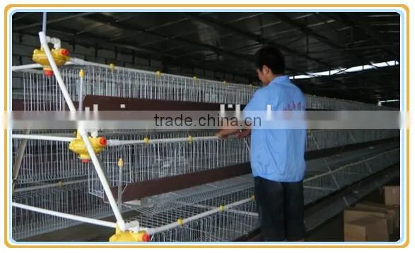Land saving A type dorking layer cage,poultry farm dorking house