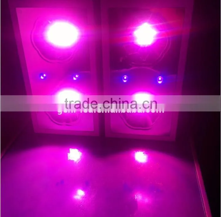 best selling products tiny house hydroponic grow systems Zeus LED plants grow light
