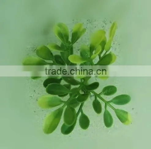 Artificial topiary privet tree/artificial privet trees for wedding/artificial boxwood trees for shopwindow