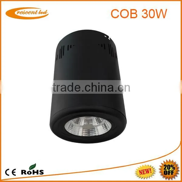 High Power Smd/cob Led Ceiling Light/ Cob Led Downlight 30w