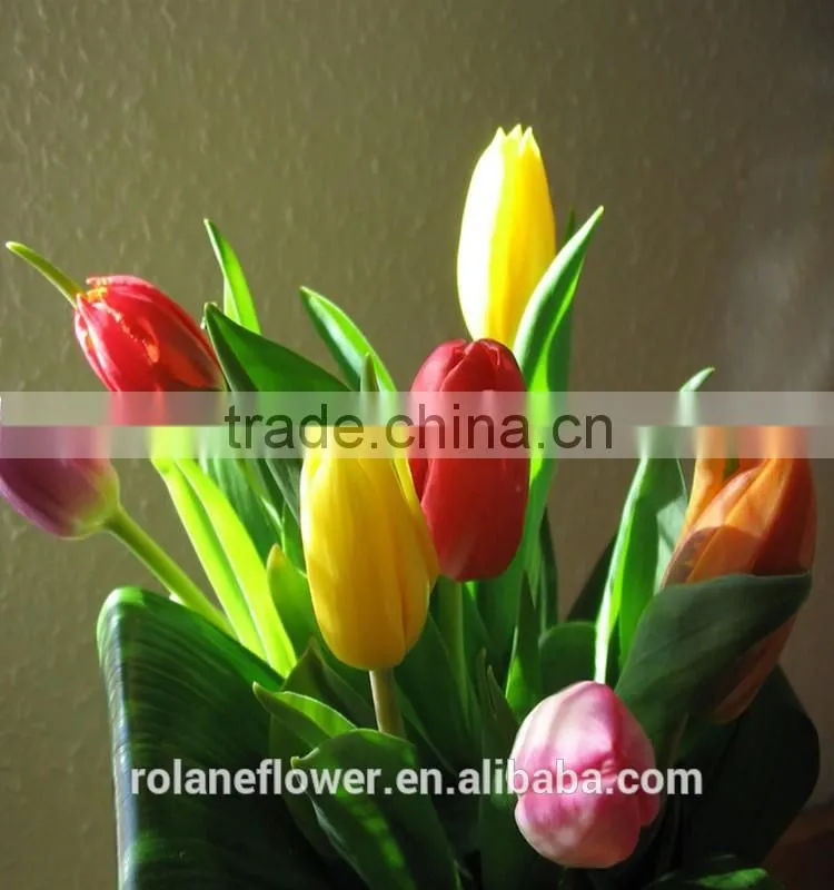 best selling beautiful fresh cut yellow tulip bulbs flower for exporting