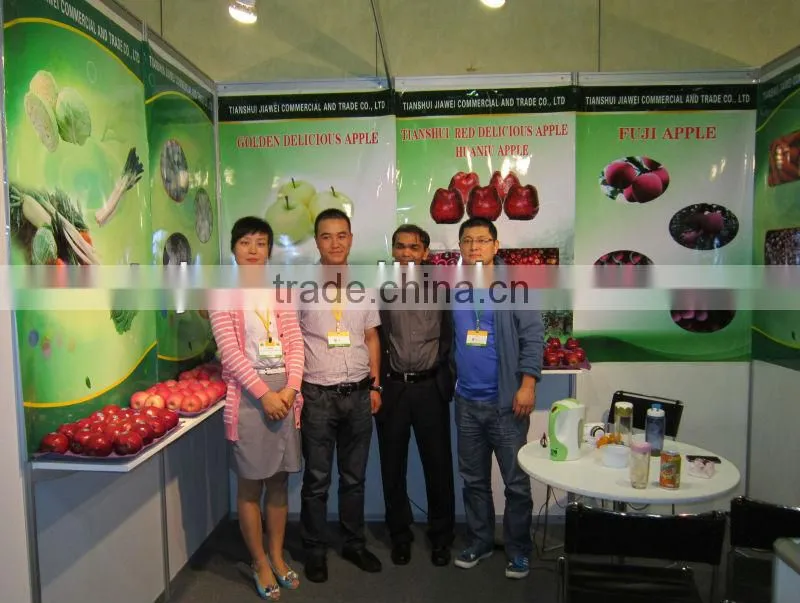 chinese new garlice price