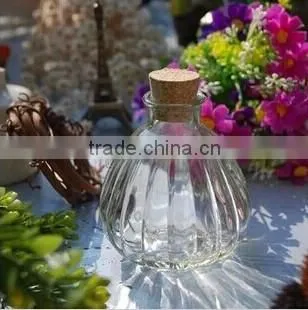 clear pumpkin wishing glass bottle,glass plant bottle with wooden cork,stopper