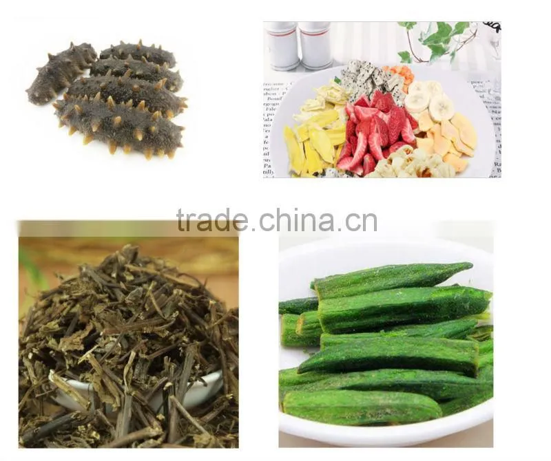 Top Grade Freeze Dryer Manufacturer