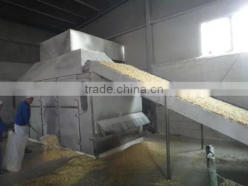 White with light yellow AD dried slice ginger