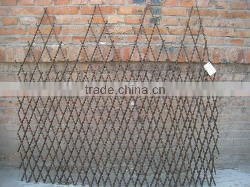 willow trellis/wicker border