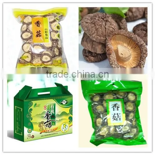 hot sale log white flower mushroom