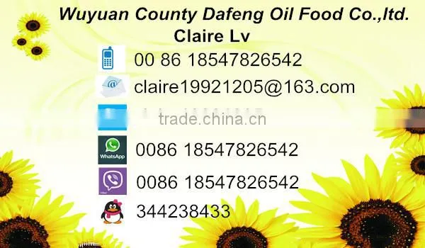 wholesale chinese white pumpkin seeds with high quality