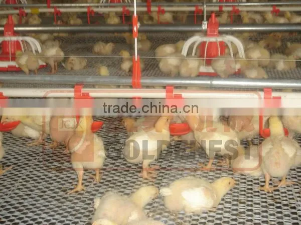 ^Agriculture equipment for poultry drinking/chicken egg poultry farm equipment/poultry nipple drinking system