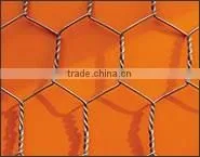 Hexagonal wire mesh