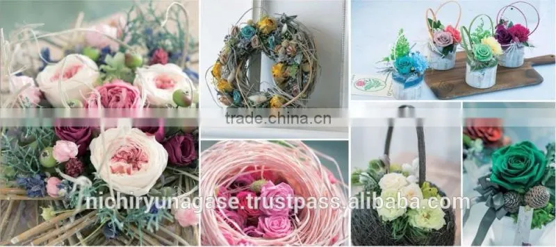 Pretty hydrangea preserved flowers with various species