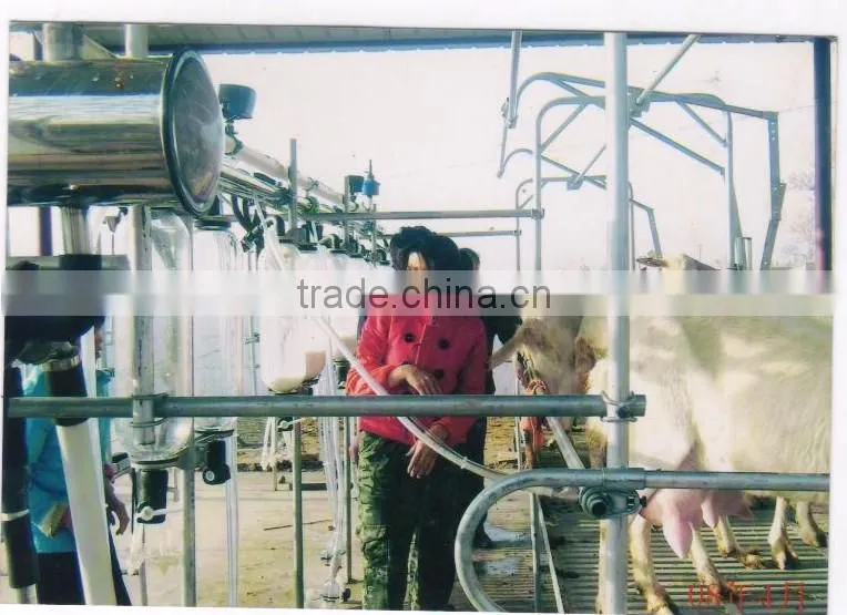 2014 best selling brand jade cattle goat milking equipment for sale