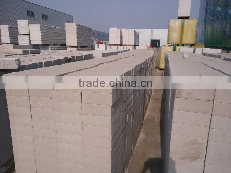 Best building blocks Autoclaved aerated concrete blocks/dimesion accuracy