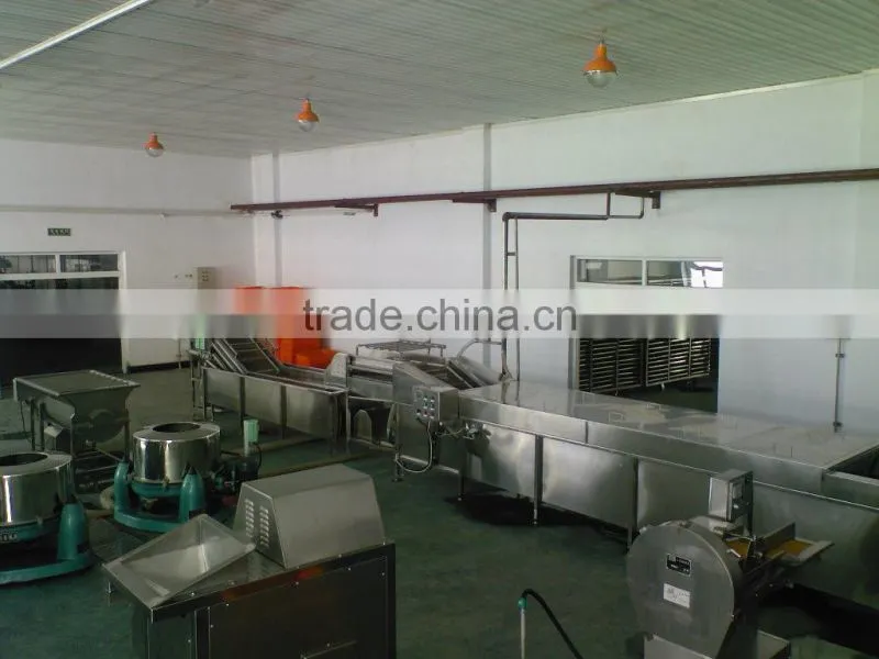 Professional food processing machinery french fries IQF frozen line