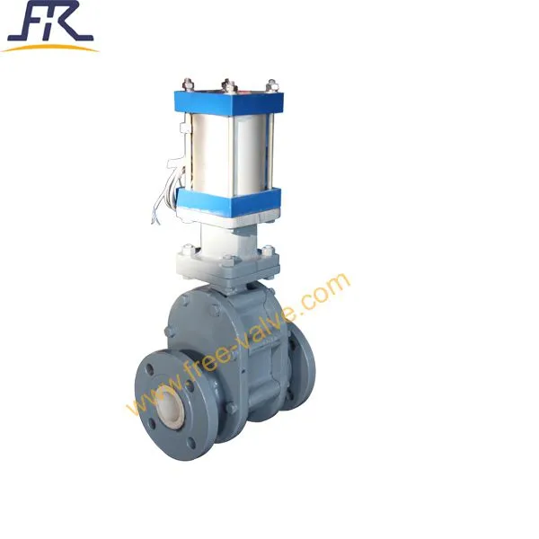 0218 DN50 Double Disc Gate Valve