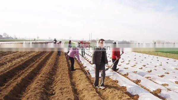 Mulch film for plant