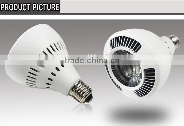 2015 newest product high quality High Lumens 30w Par30 Led Spot Lighting