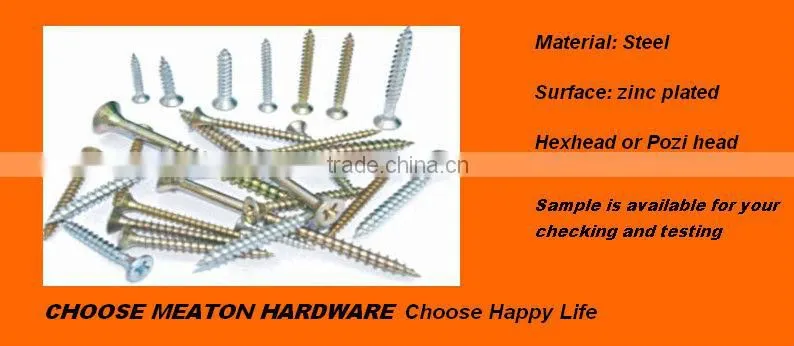 Steel Screw