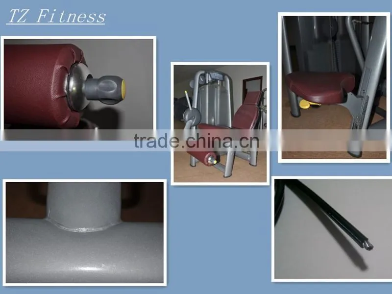 TZ-6002 leg extension machine/gym fitness equipment / factory price