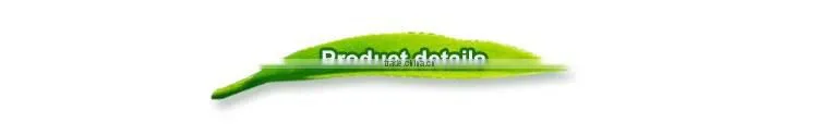 Natural organic maojian freeze dried green tea