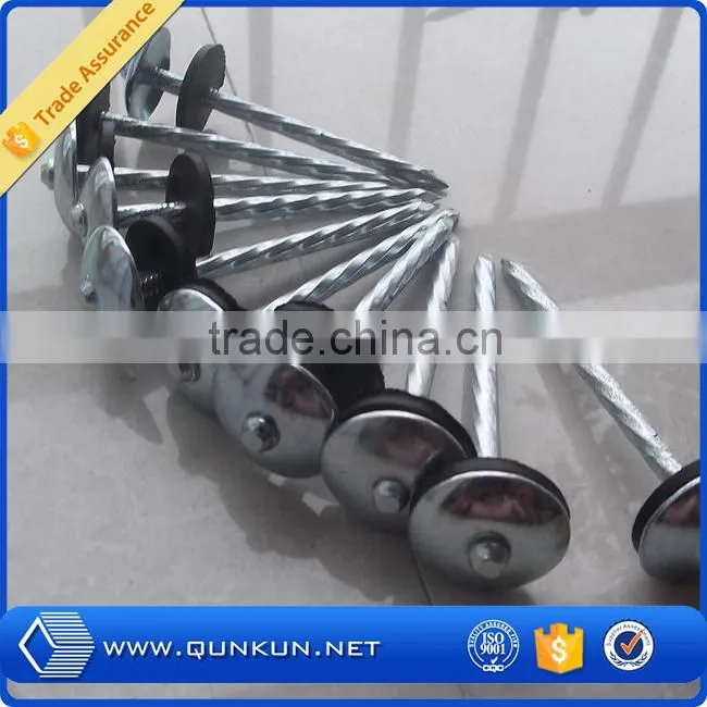 umbrella galvanized twist shank roofing nails