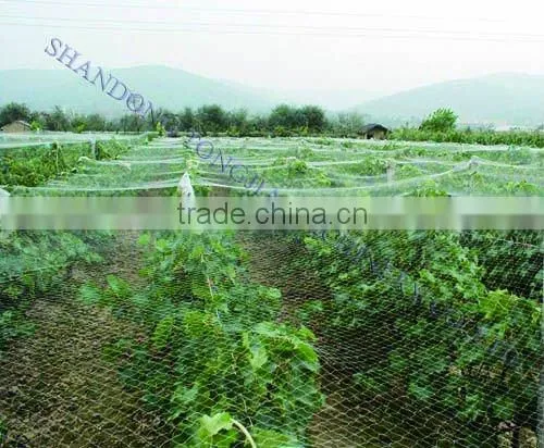 Numerical Control Square Mesh Production Line