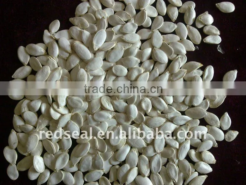 Shin skin pumpkin seeds