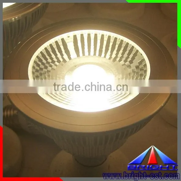China supplier plastic type led Par light, led Par38 spotlight, led COB chip spot light E27
