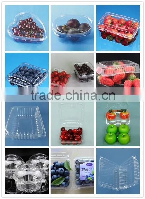 PVC Plastic packaging container for tomatos