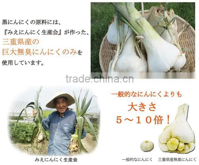 Handmade and organic Black garlic Japanese ponzu sauce (soy sauce and citrus juice mix together) 190ml