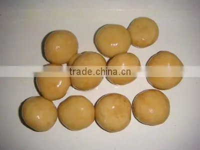 IFS Approval Canned Whole Mushroom