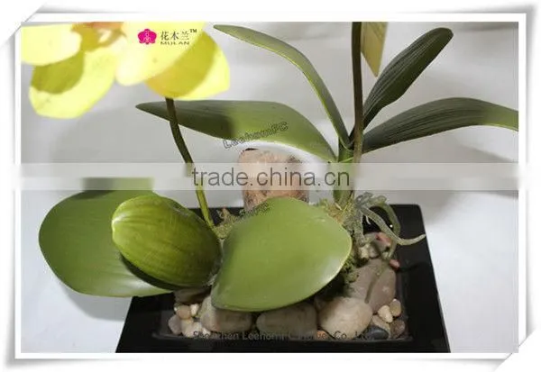 Lifelike Orchids Wedding Wholesale Potted Flower For Sale